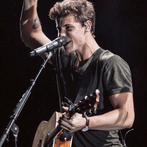 Shawn Mendes Illuminate  Image