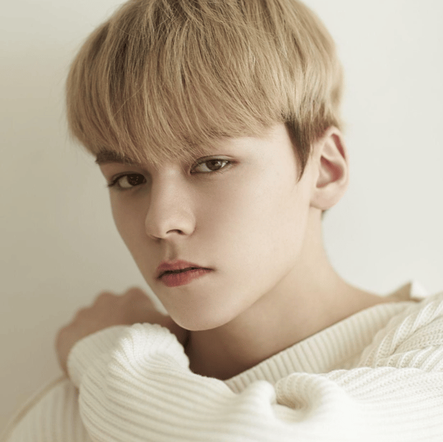 Vernon from Seventeen Image