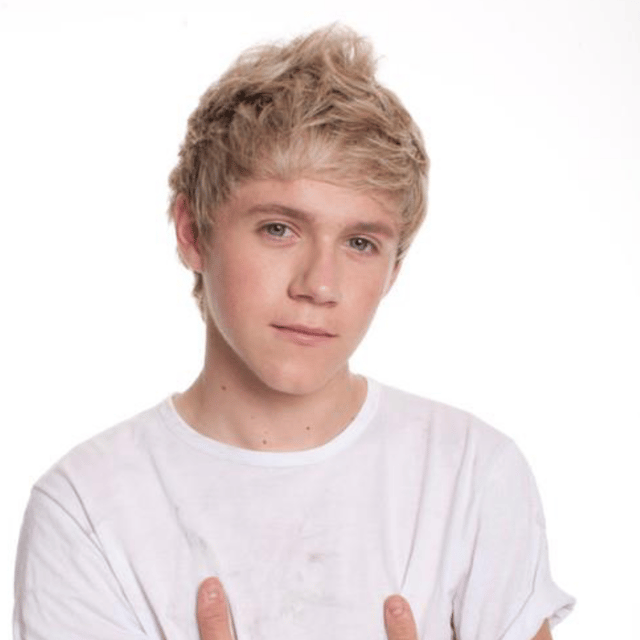 Niall H -2011 AI Voice