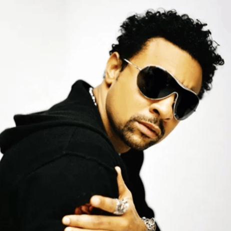 Shaggy Boombastic Image