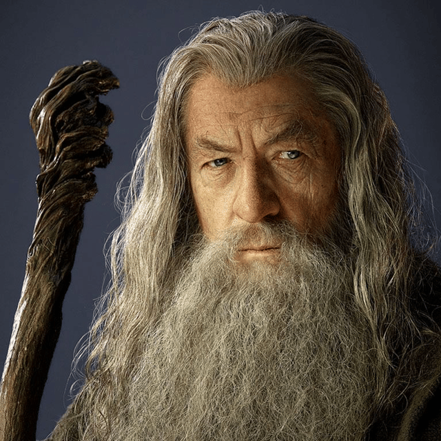 Sir Ian McKellan / Gandalf Image