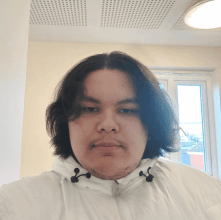 TINGMOMENTUM AI Voice