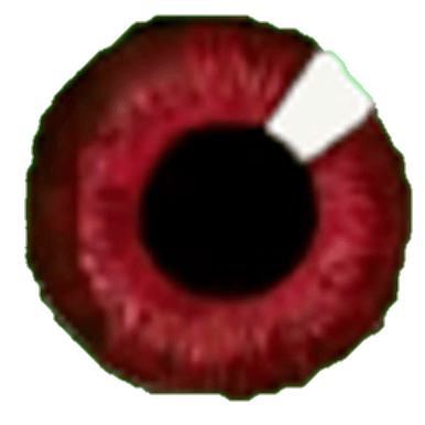Voice AI Voice