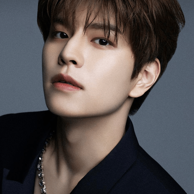 Seungmin Straykids  Image