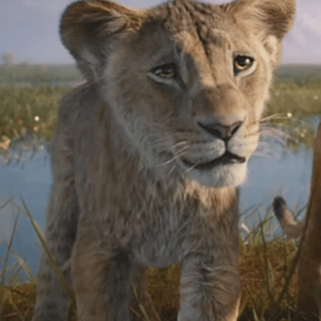 Cub Taka/Scar {Mufasa: The Lion King} Image