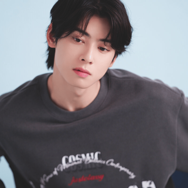 Cha Eunwoo Image