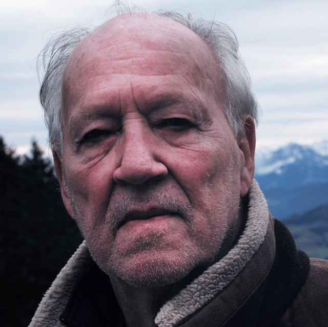 Werner Herzog (Based on The Twilight World) Image