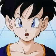 Videl Satan Image