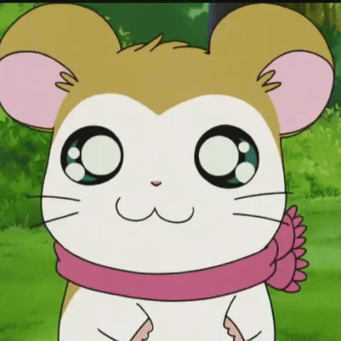 Pashmina (Hamtaro) Image