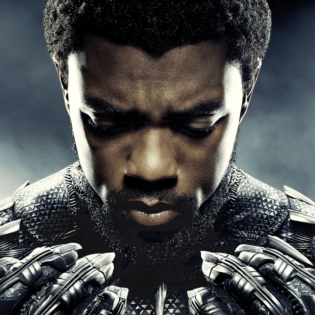 Black Panther Image