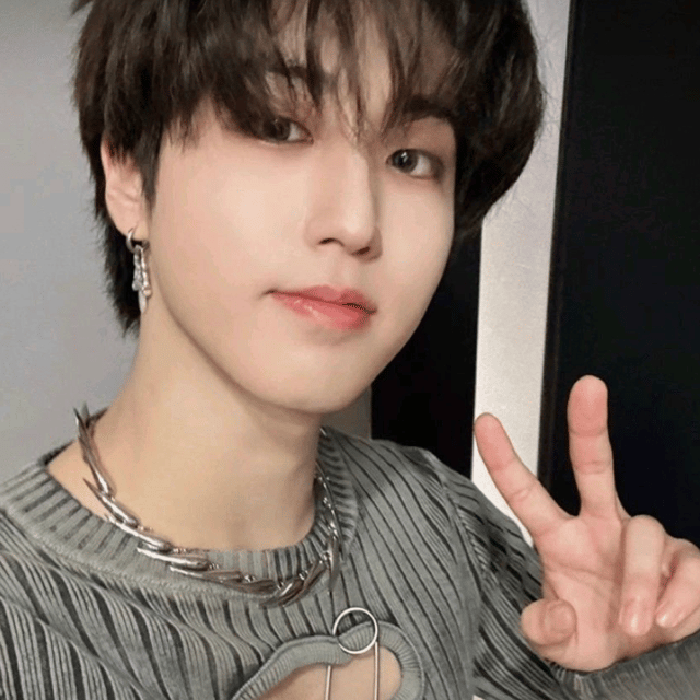 Han Straykids  Image