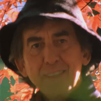 George Harrison (Old / Singing) AI Voice