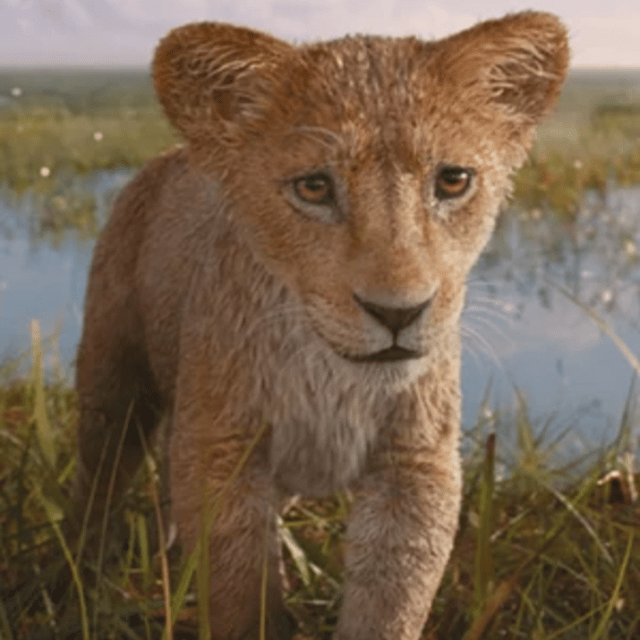 Cub Mufasa {Mufasa: The Lion King} AI Voice