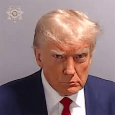 Donald J. Trump Image