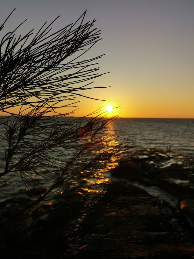 Arne Komalski 3 Image