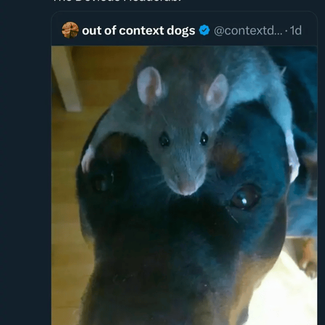 Voice AI Voice