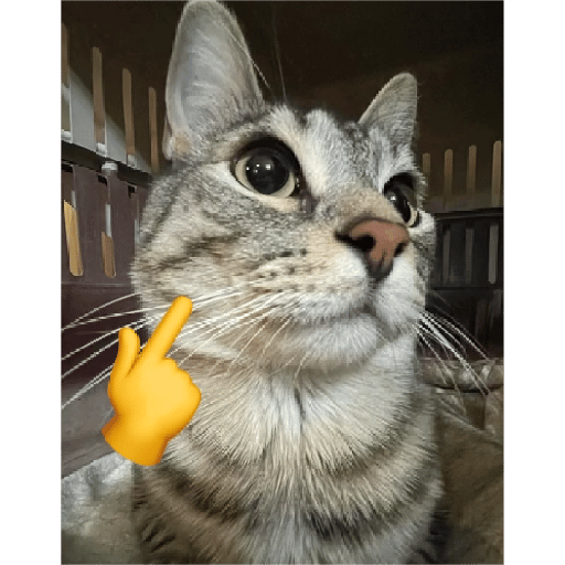 Voice AI Voice