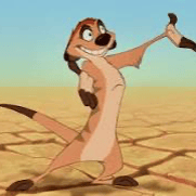 Timon (The Lion King) (Nathan Lane) Image