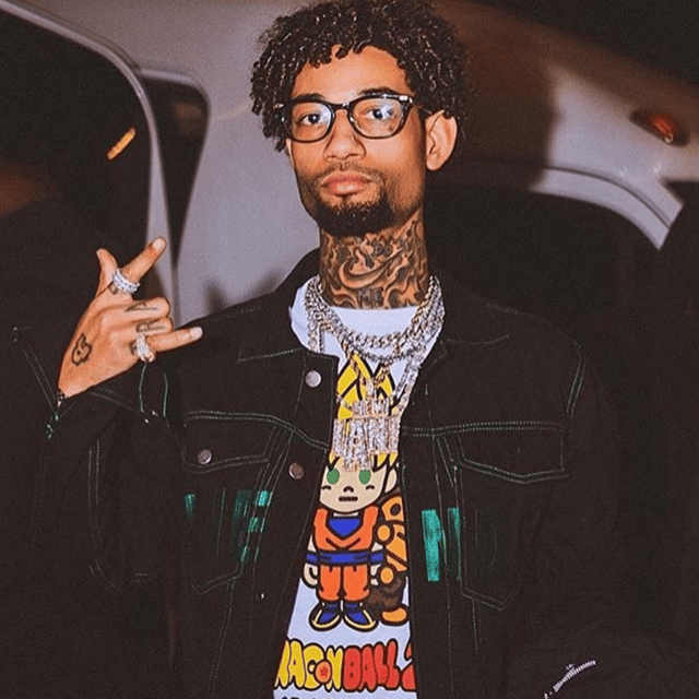 Pnb Rock 2024 AI Voice