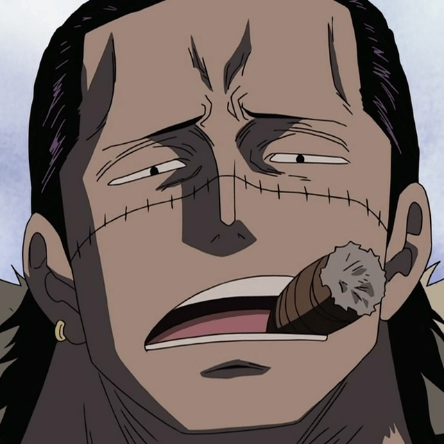 Sir. Crocodile Image