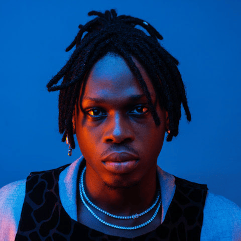 Fireboy DML AI Voice