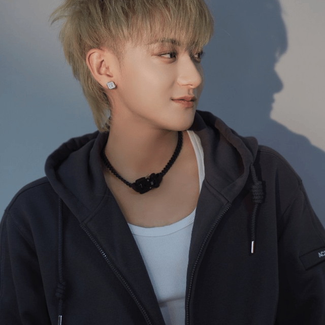 Tao/Z.Tao AI Voice