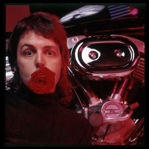Paul McCartney (Young/Deep Voice) Image