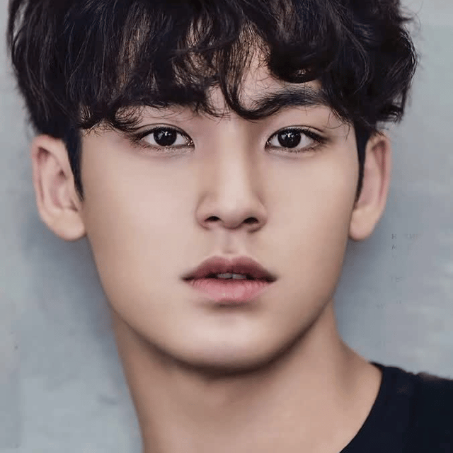 Kim Mingyu Image