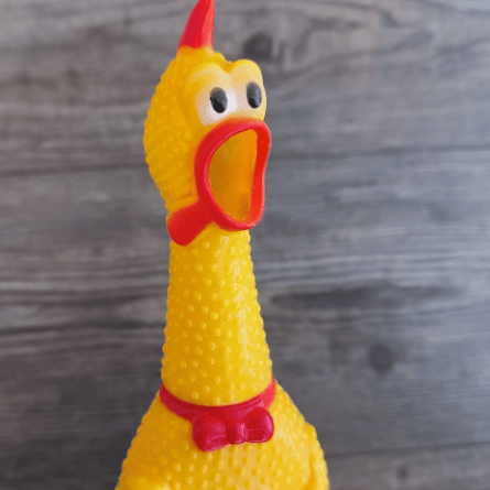 pollo de hule XDXD Image