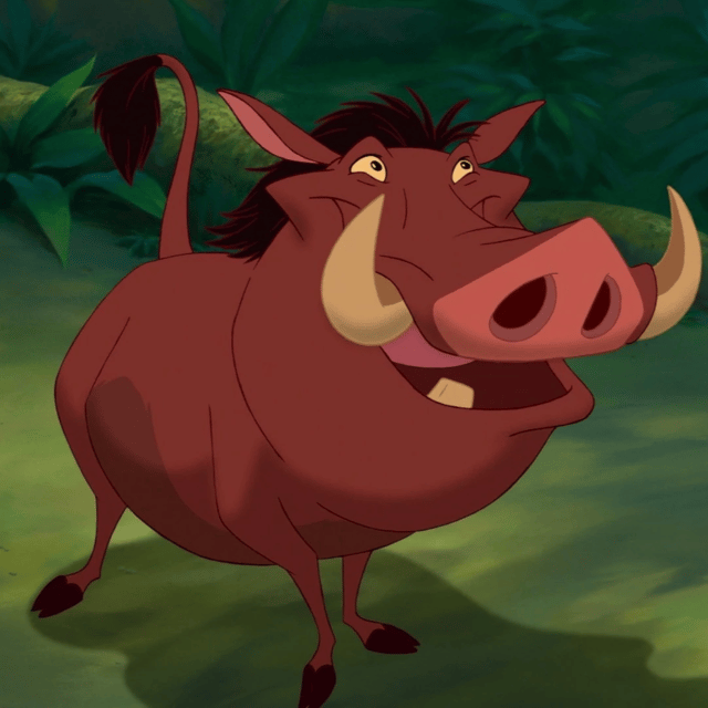 Pumba (Latin Spanish) Image