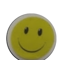 Voice AI Voice