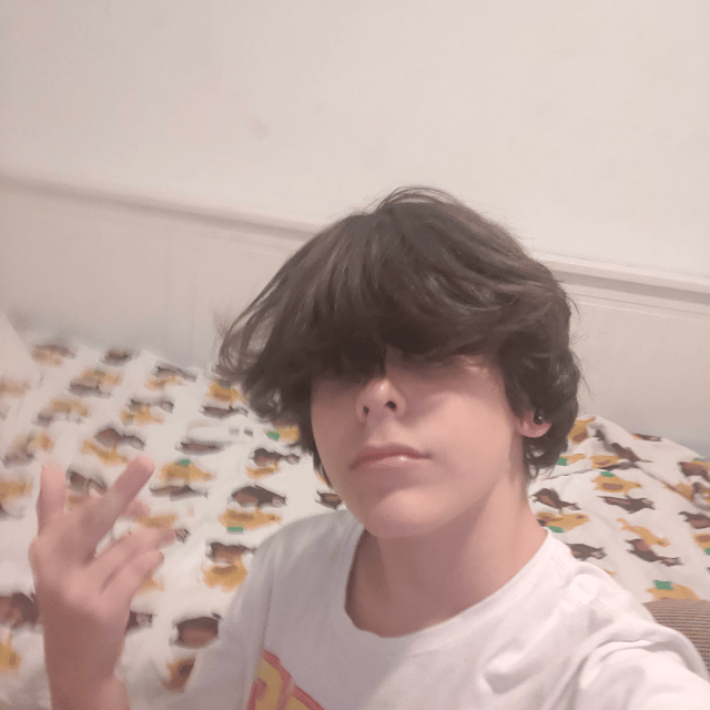 Voice AI Voice