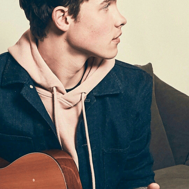 Shawn Mendes Handwritten AI Voice