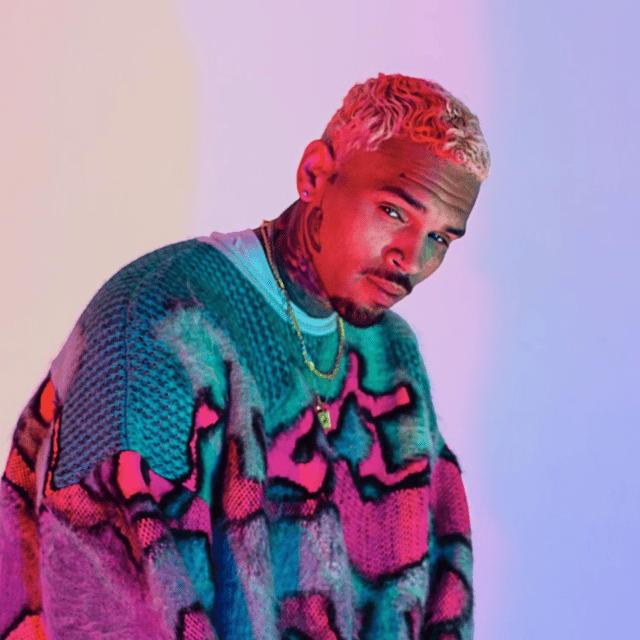 Chris Brown Model Image