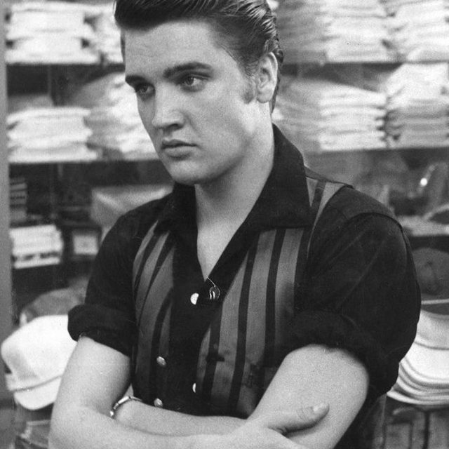 Elvis Presley 50s Era  Image