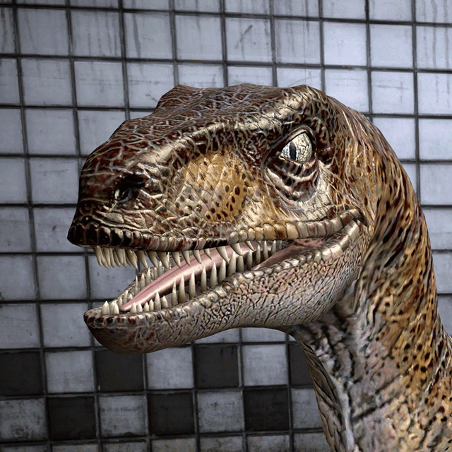 Velociraptor Image