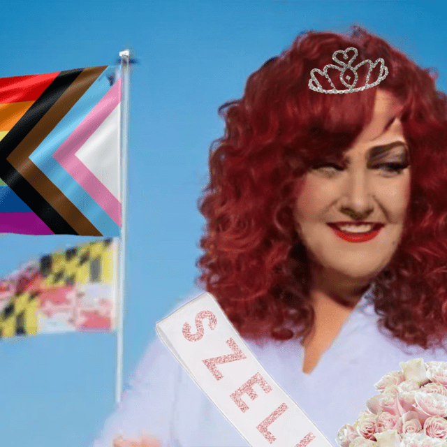 Kathy Szeliga - District 7 Image