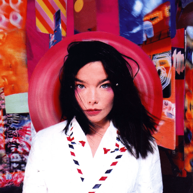 Björk Image