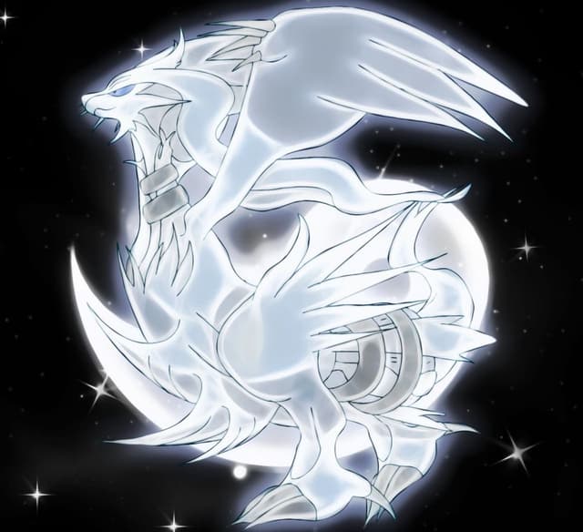 kievaug profile picture