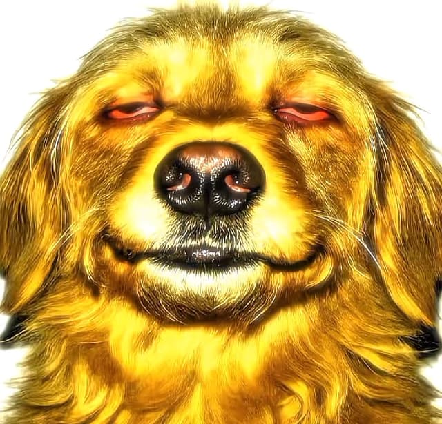elliottm profile picture
