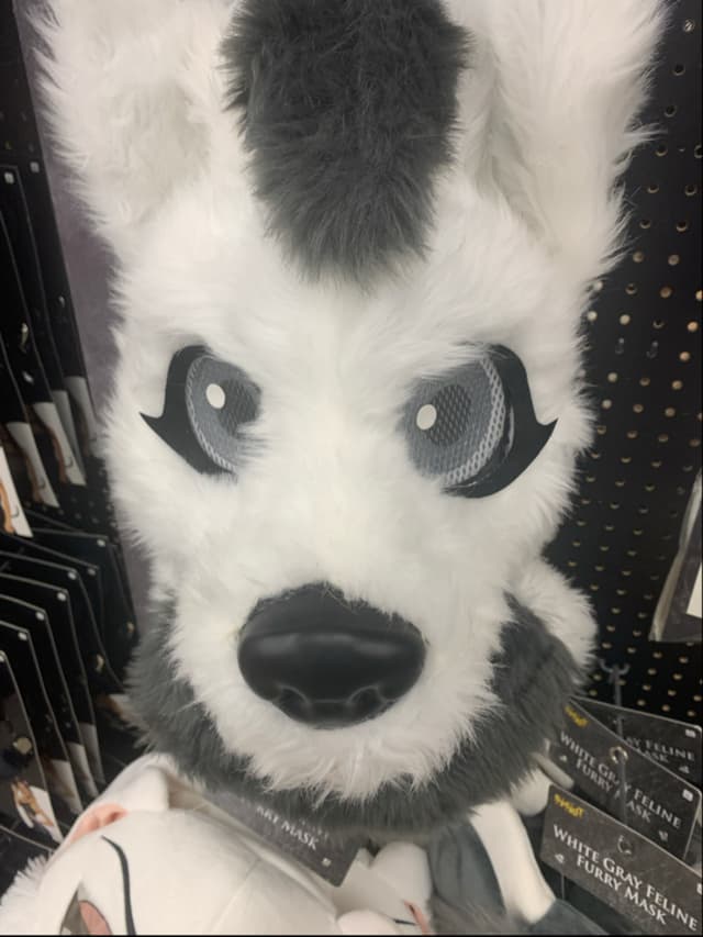 tkplays67 profile picture