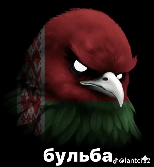 Talip profile picture