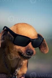 dreamtom profile picture
