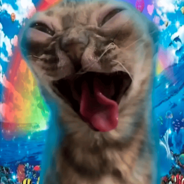 MrBigBottom profile picture