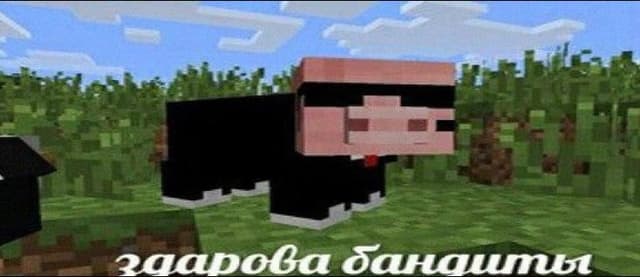 кошак profile picture