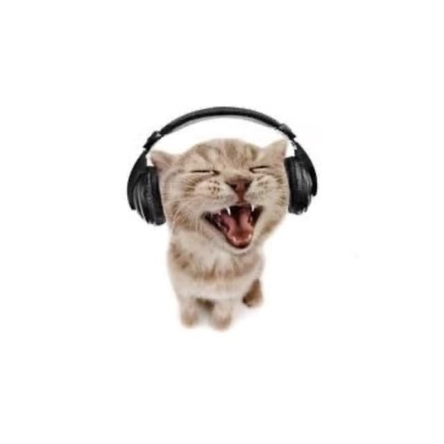 mas0n_rep0sts profile picture