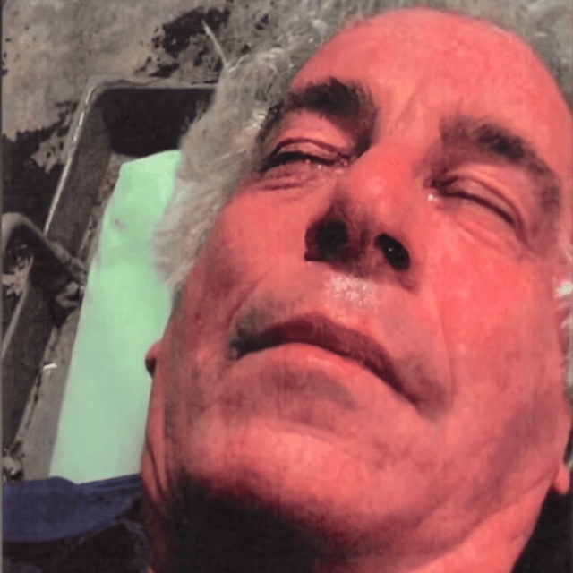 GaylordFockerJr profile picture