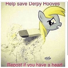 posthardcorerulez profile picture