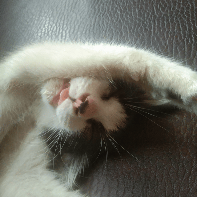butflyy profile picture
