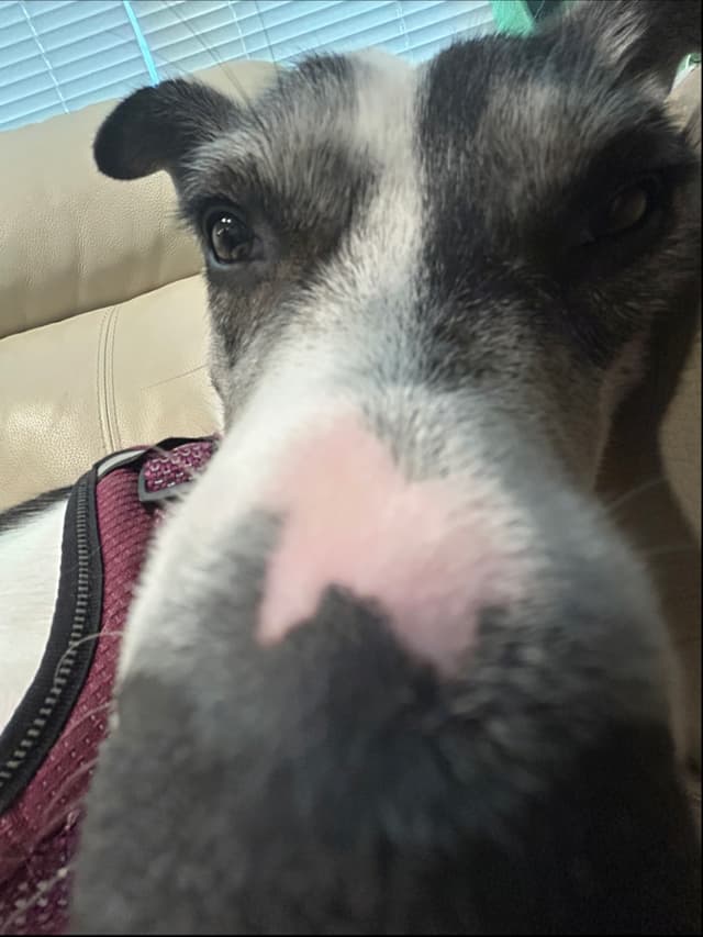 Stinky10272 profile picture